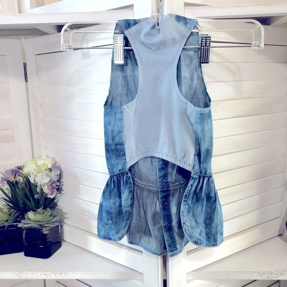 Hotel Doggy Chambray Blue Cotton Dress Medium